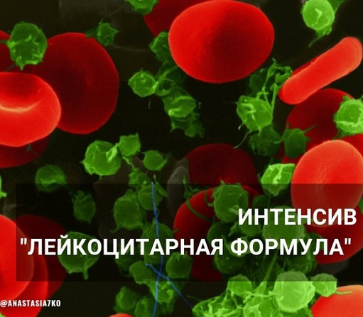 [Анастасия Семко] Лейкоцитарная формула (2024)_0.png